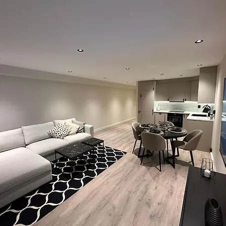 Luxurious Apartment